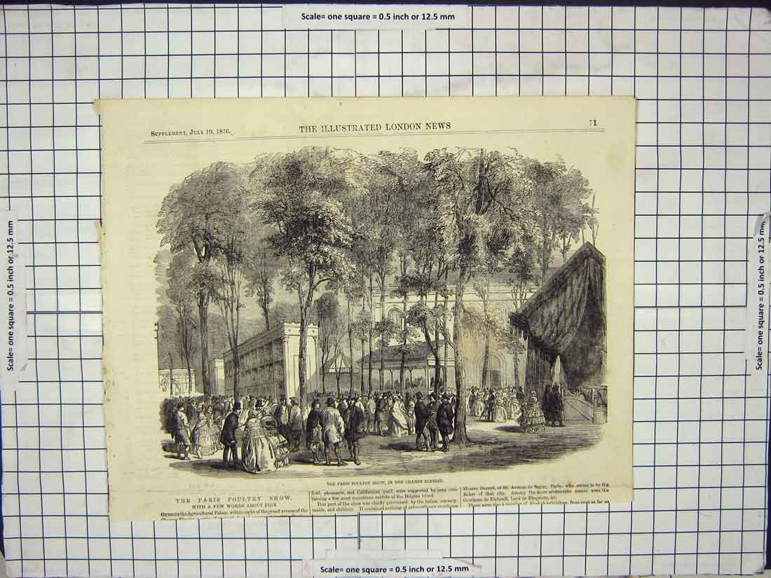 Original Old Antique Print 1856 Paris Poultry Show Champs Elysees France 19th