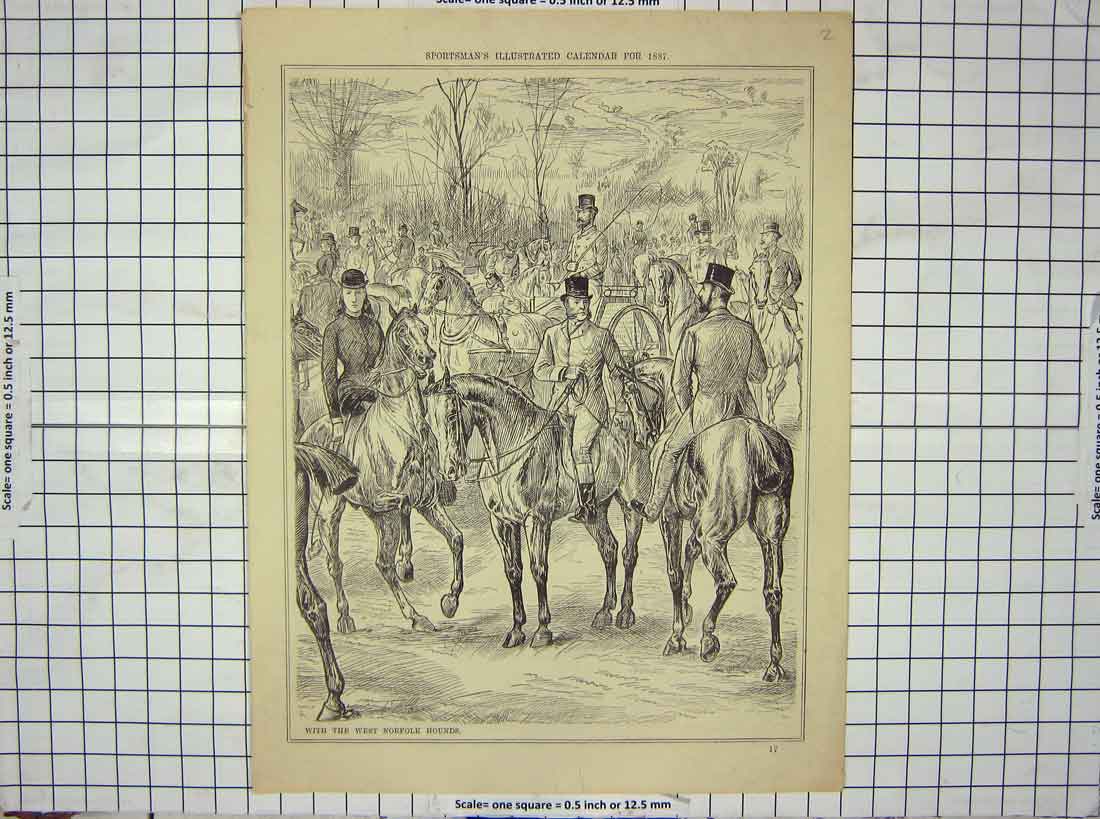 Original Old Antique Print 1887 West Norfolk Hounds Dogs Hunting Sport Horses