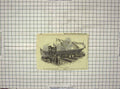 Original Old Antique Print Banshee Mail Steamer Ship Flags Falmouth