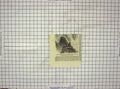 Old Antique Print Ruins Stone Cabin Tete Rouge Aigulle Goute Mont Blanc 18th