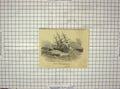 Original Old Antique Print Sailing Ship Wreck Dutch Indiaman Pevensey Bay Sea