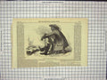 Original Old Antique Print Bechuana Chief South Africa Tribes