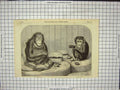 Original Old Antique Print Chimpanzee Monkey Ourang-Outang
