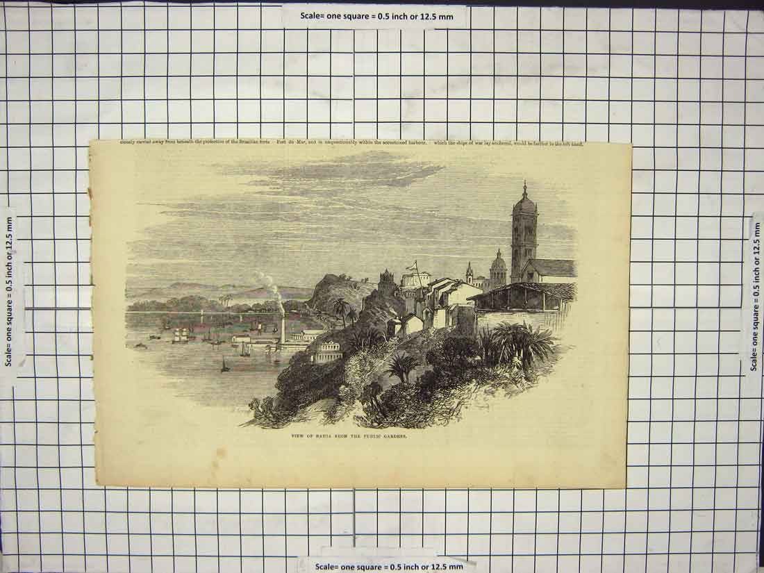 Original Old Antique Print View Bahia From Public Gardens Boats Prin