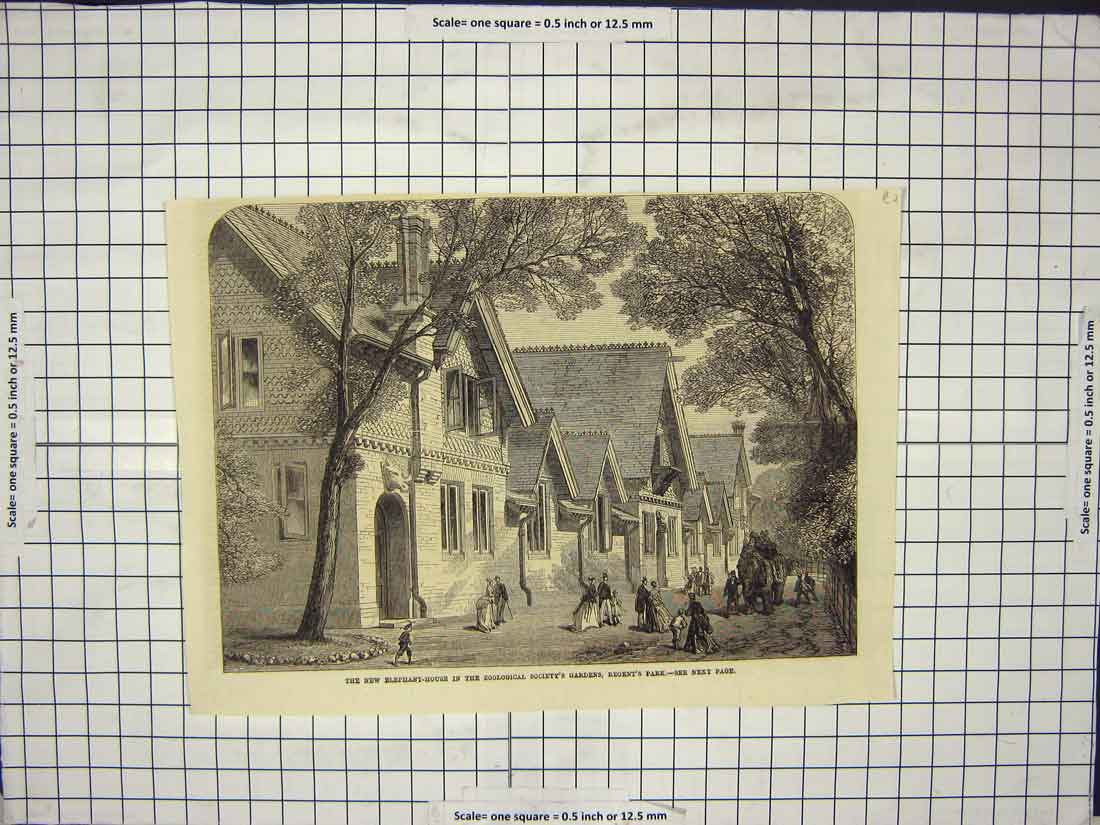 Original Old Antique Print New Elephant House In Regent'S Park