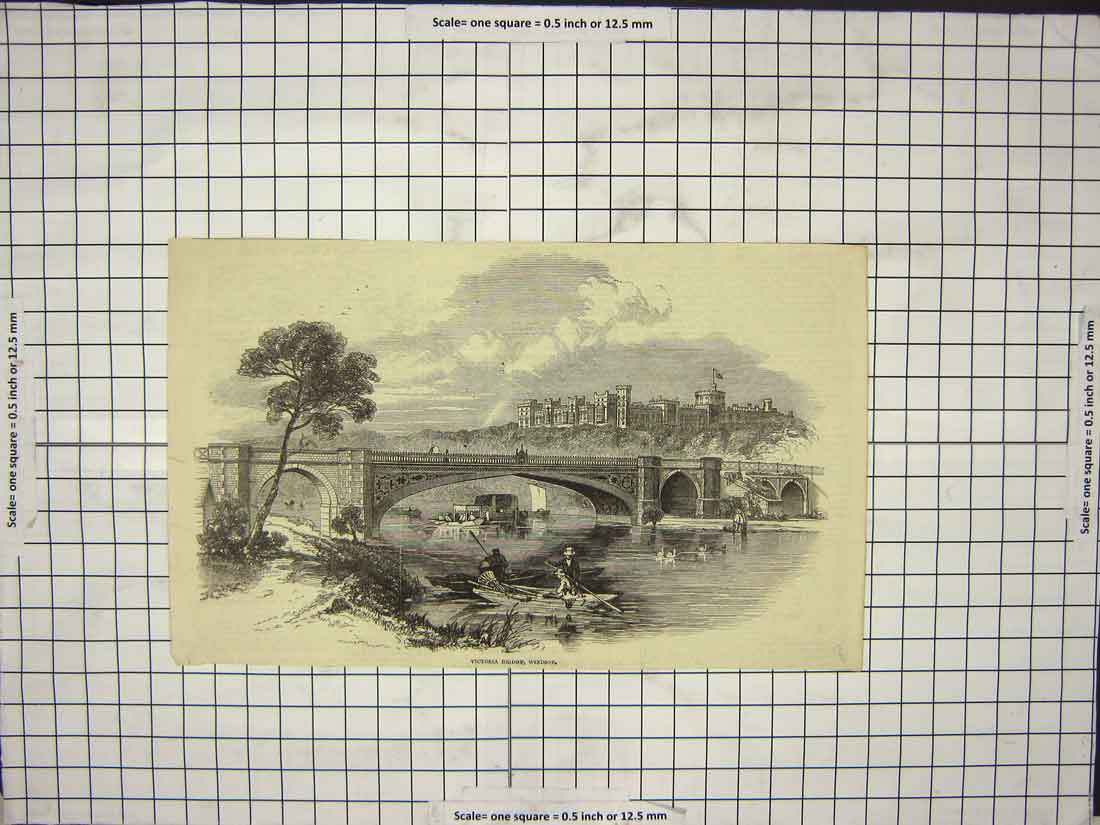 Original Old Antique Print Victoria Bridge Windsor Boats Ducks Tree