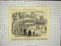 Original Old Antique Print Sale Shorthorns At Royal Shaw Farm Windsor