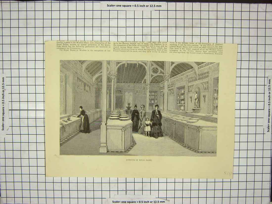 Original Old Antique Print Interior Royal Diary Visiting Guests