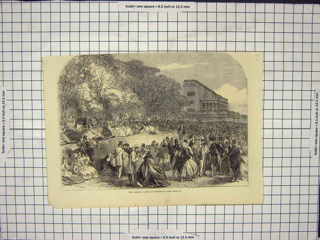 Original Old Antique Print Ladies Lawn Goodwood Trees Crowds Men Women