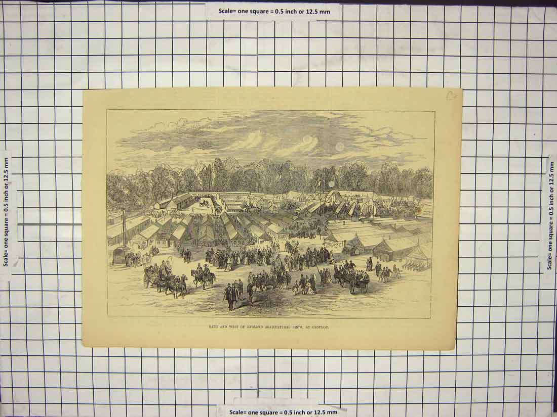 Original Old Antique Print Bath And West England Agricultural Show
