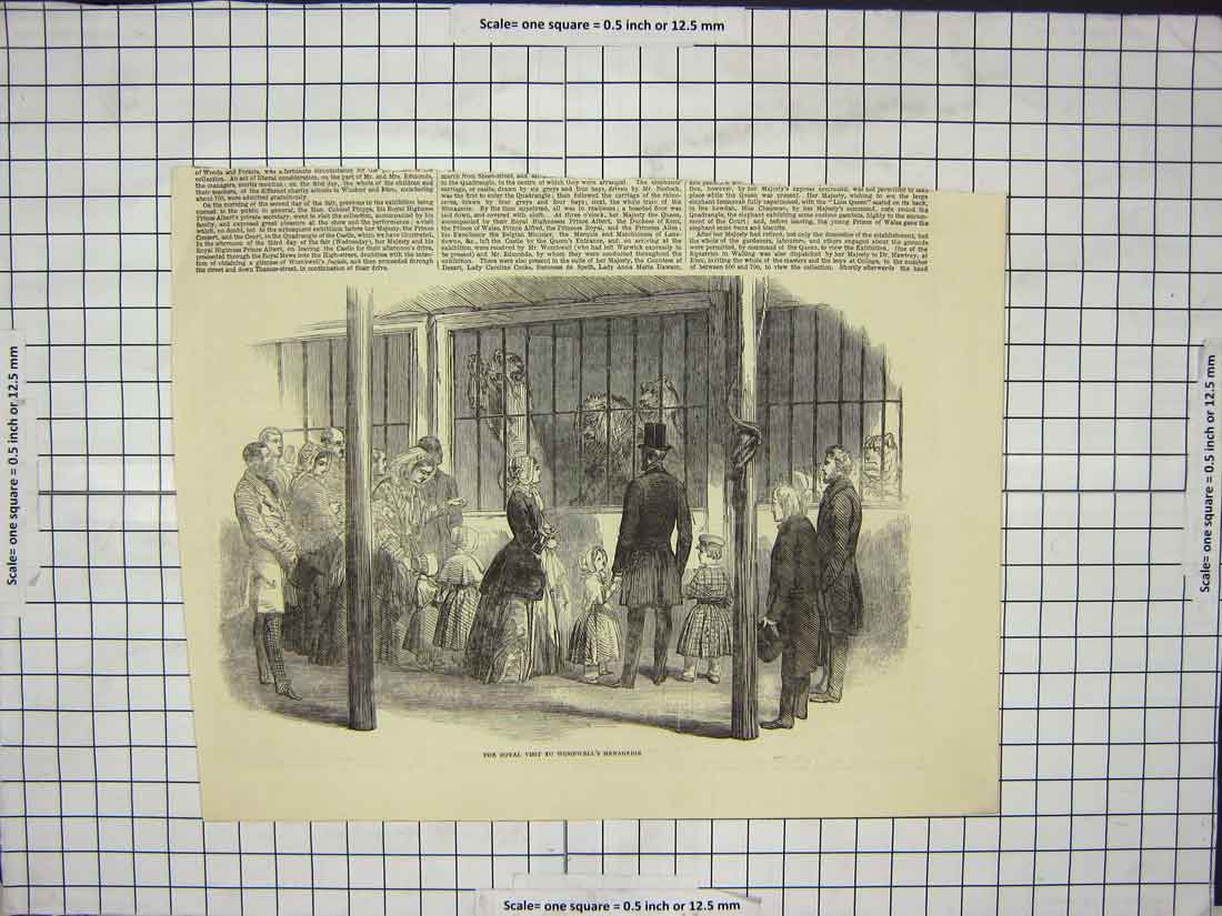 Original Old Antique Print Royal Visit Zoo Lions Tigers Wombwell'S