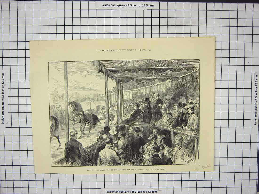 Original Old Antique Print Agriculture Society'S Show Horses Windsor Victorian