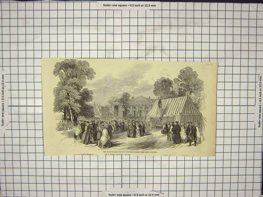 Original Old Antique Print Horticultural Fete Dowing College Flags Victorian
