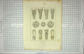 Original Old Antique Print 1825 Brackets Bosses Exeter Cathedral Keux Moore