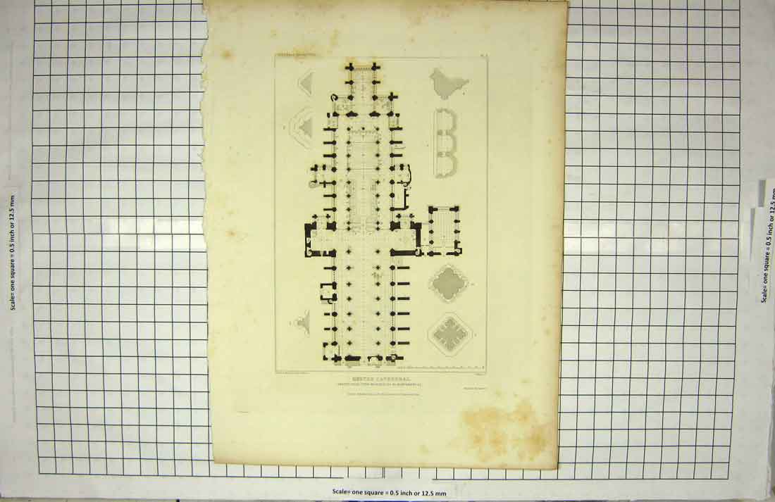 Original Old Antique Print 1825 Exeter Cathedral Plan Monuments Roffe Wyatt