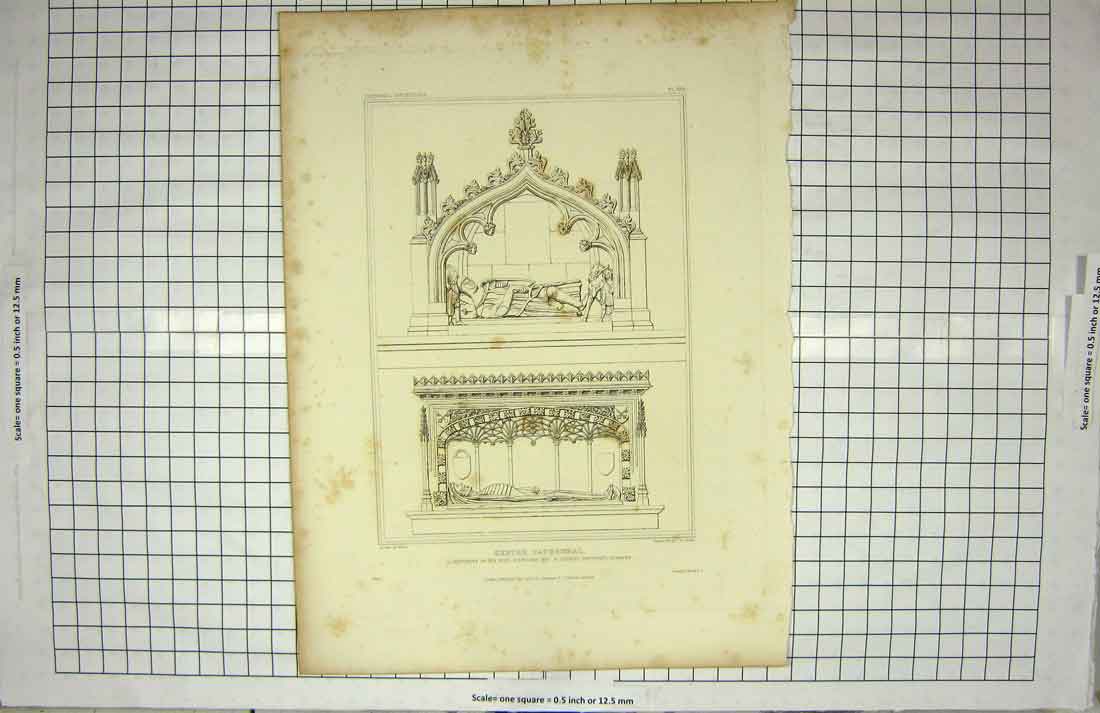 Original Old Antique Print 1825 Exeter Cathedral Stepeldon Monument Keux Willis