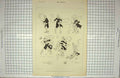 Original Old Antique Print Comedy Scene Windy Lord Mayor'S Day Strand London