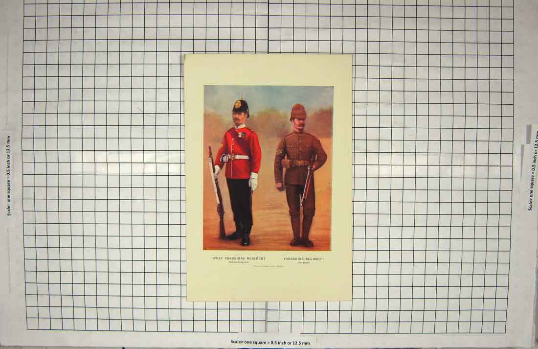Original Old Antique Print West Yorkshire Regiment Colour-Sergeant Siers