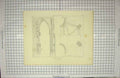 Original Old Antique Print Church St. Vincent Rouen Architecture Keux Pugin