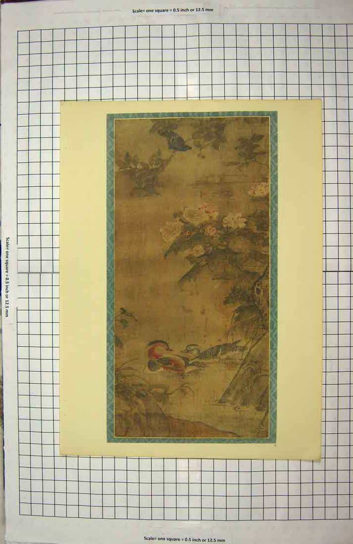 Original Old Antique Print Colour Flowers Nature Birds