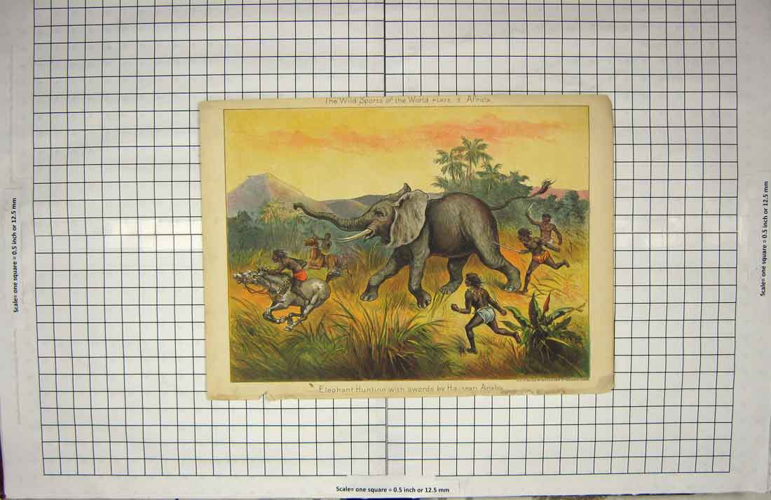 Original Old Antique Print Elephant Hunting Swords Arabs Wild Sport Africa 19th