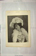 Original Old Antique Print Portrait Lady Cape Town Street Men Sweeping 20th