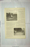 Old Antique Print Queen'S Staghounds Ascot Hunting Sport Social Jester 20th