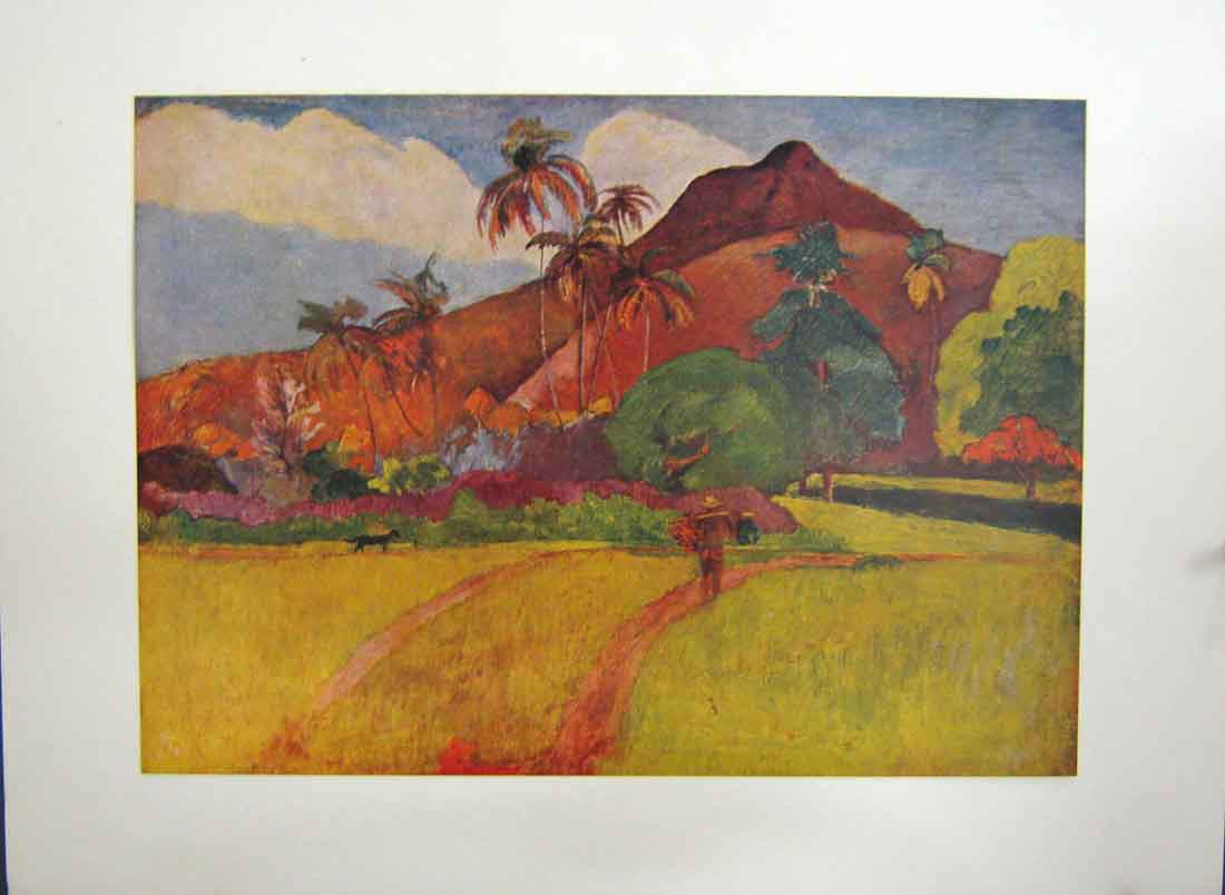 Original Old Antique Print Tahitian Landscape Mountains Trees C.1891 Victorian