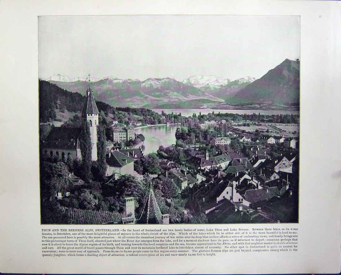 Old Antique Print Thun Bernese Alps Switzerland Palace Brussels Belgium