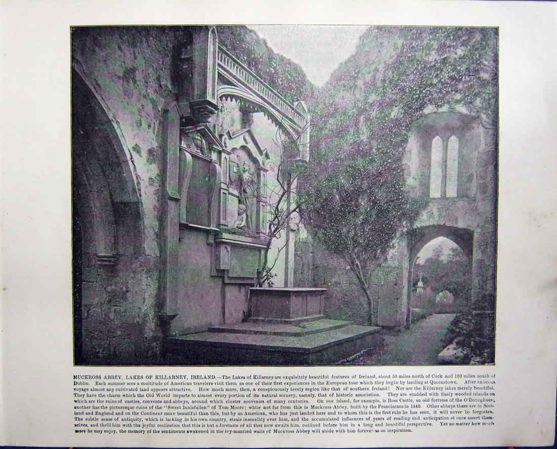 Antique Old Print Muckross Lakes Killarney Ireland Burns Cottage Scotland
