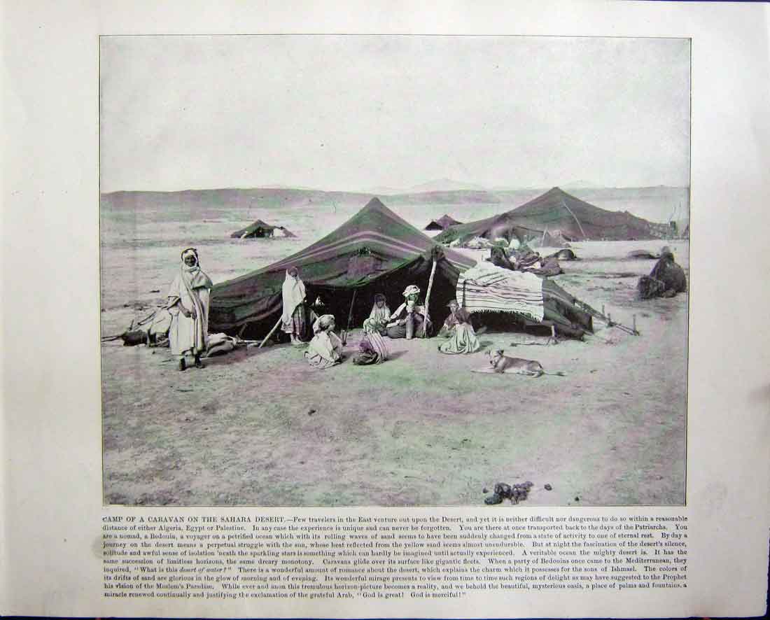 Original Old Antique Print Camp Caravan Sahara Desert Houses Parliament Canada