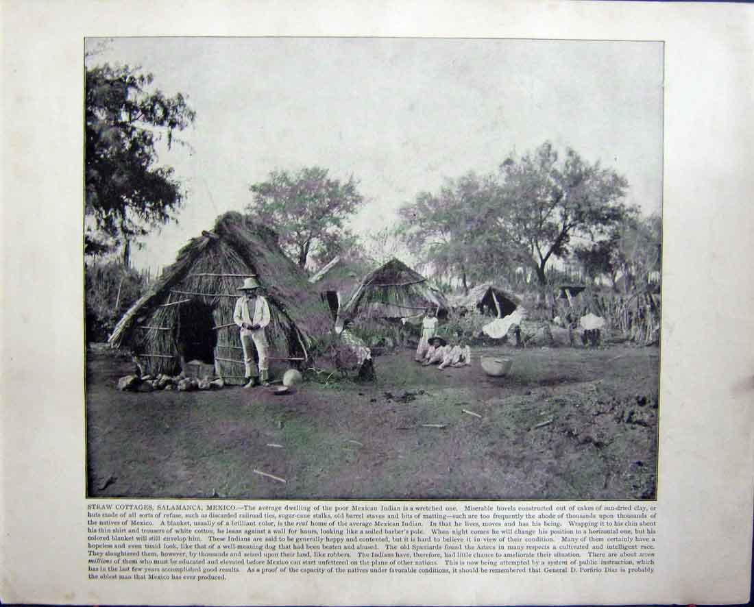 Old Antique Print Straw Cottages Salamanca Mexico Indian River Florida