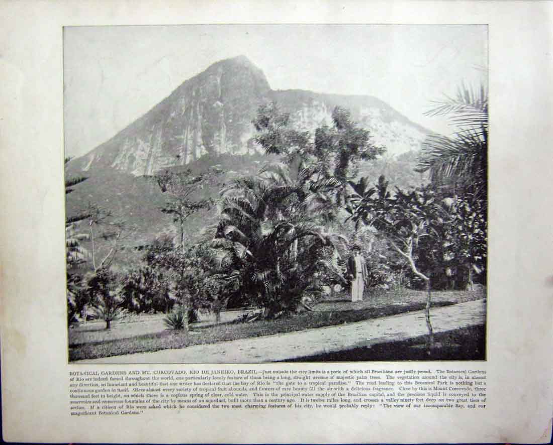 Old Antique Print Gardens Corcovado Janeiro Brazil Gethsemane Palestine