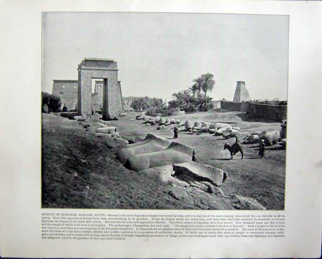 Original Old Antique Print Sphinxes Karnak Egypt View Modern Athens Greece