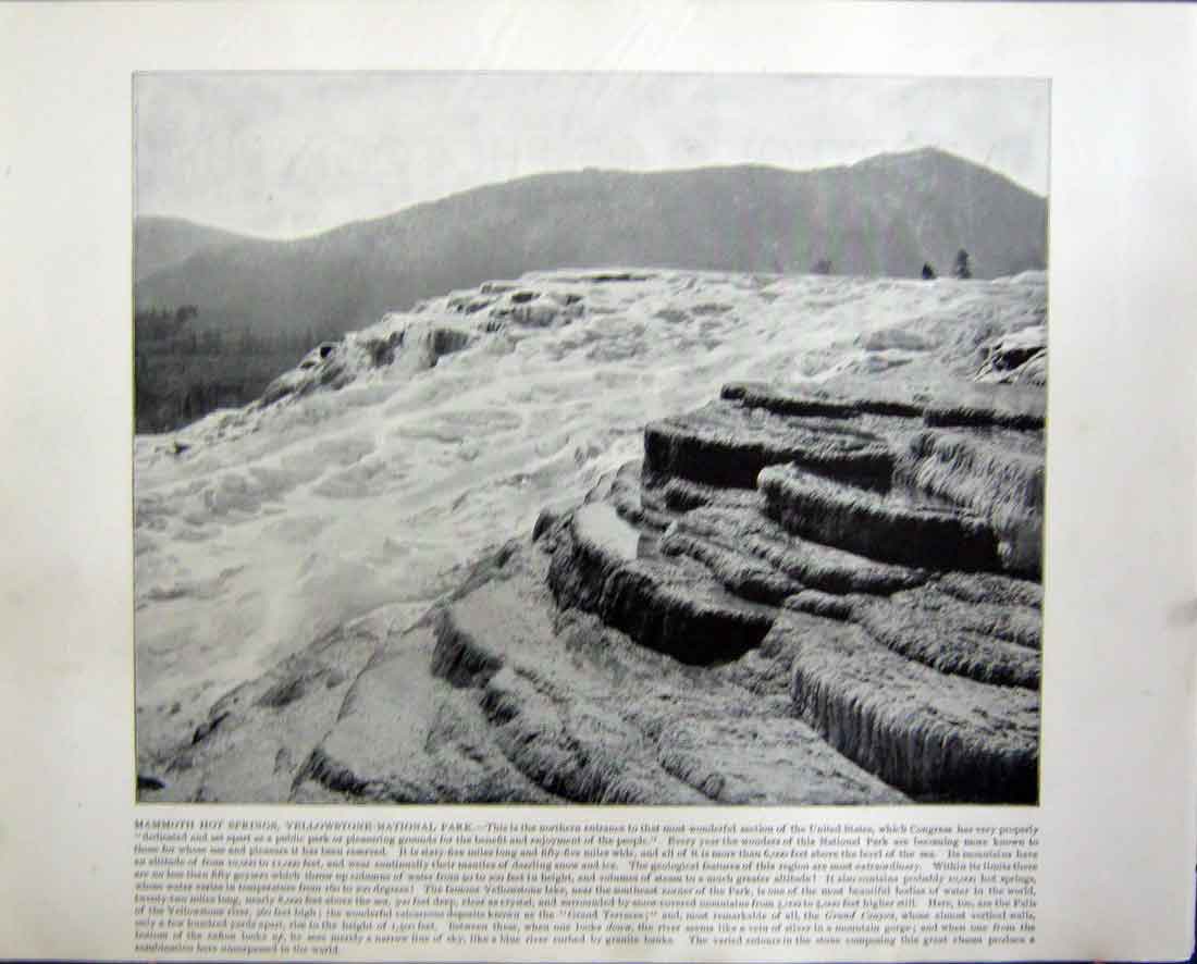 Original Old Antique Print Hot Springs Yellowstone Park White House Washington