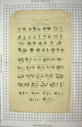 Original Old Antique Print Botany Flowers Plants Labiated Polypetalous Nature