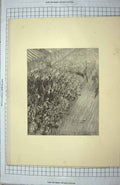 Original Old Antique Print The Derby Finish The Race Horse Crowd
