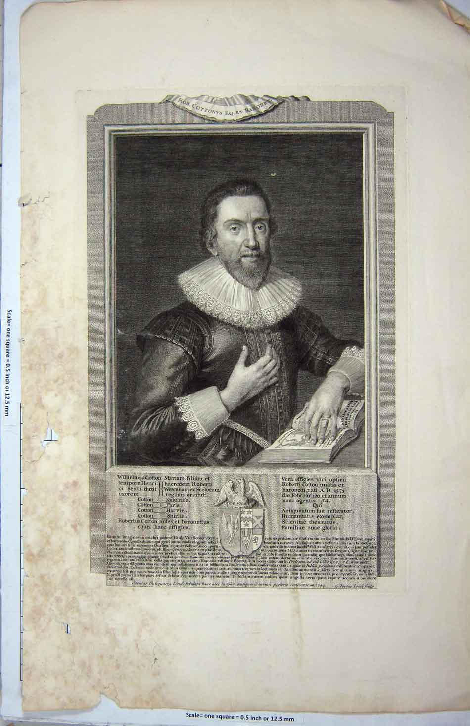 Original Old Antique Print Robertus Cotton Coat Arms English