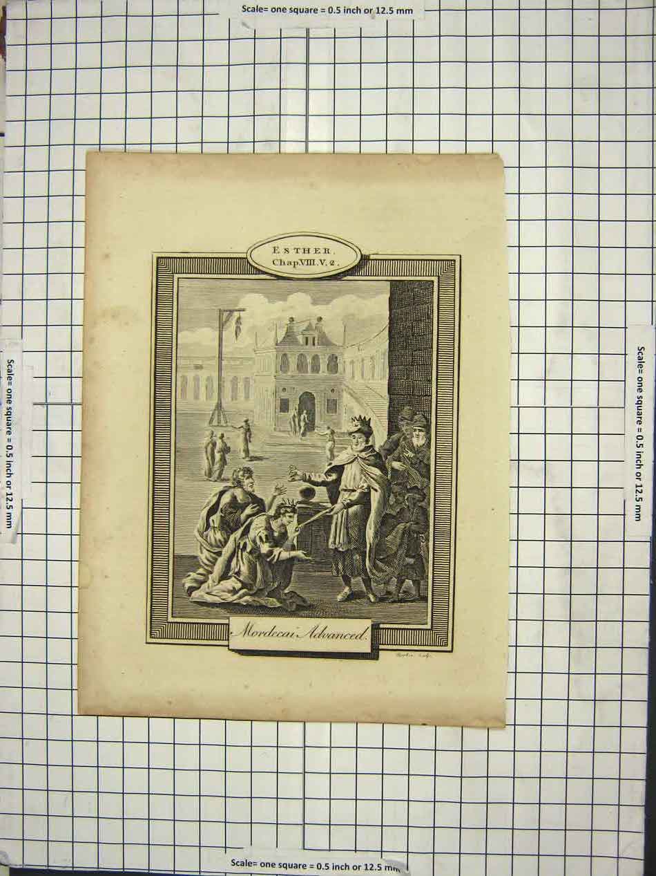 Original Old Antique Print Esther Chap.Viii V.2. Mordecai Advanced