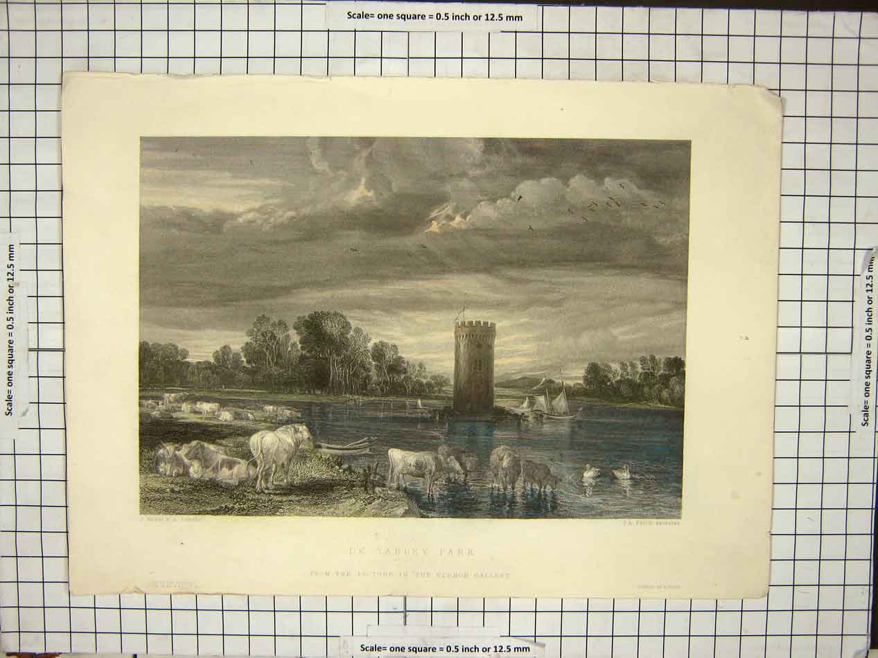 Original Old Antique Print De Tabley Park From Vernon Gallery Sheep