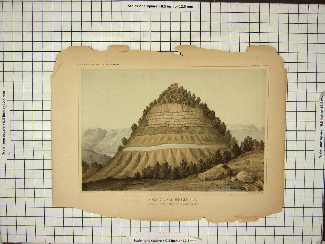 Original Old Antique Print Conical Hill 500 Feet Patterns Trees
