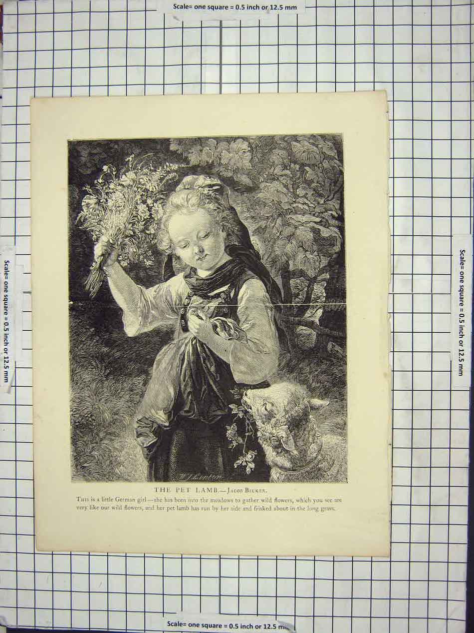Original Old Antique Print Pet Lamb Invention Stocking Room