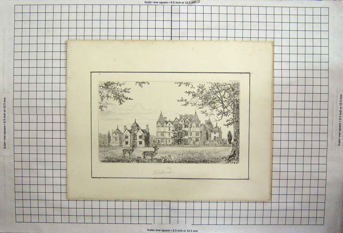 Original Old Antique Print Westwood Frontisepiece Deers Stags Garden