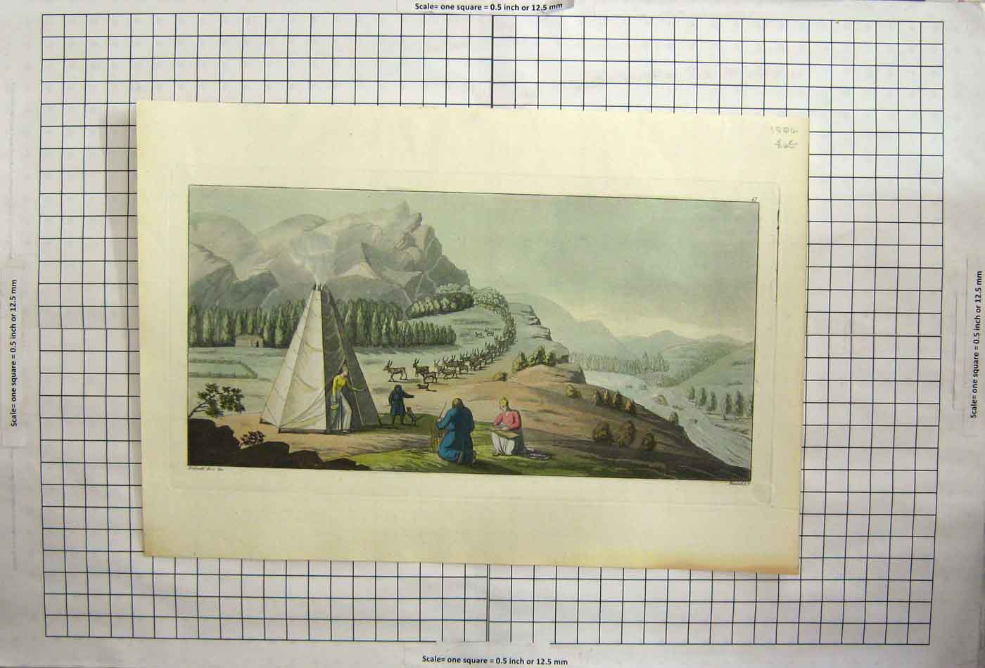 Original Old Antique Print Open Plains Tent Wild Animals Trees