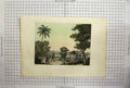 Original Old Antique Print Africa Naked Tribesmen Tree Climbing