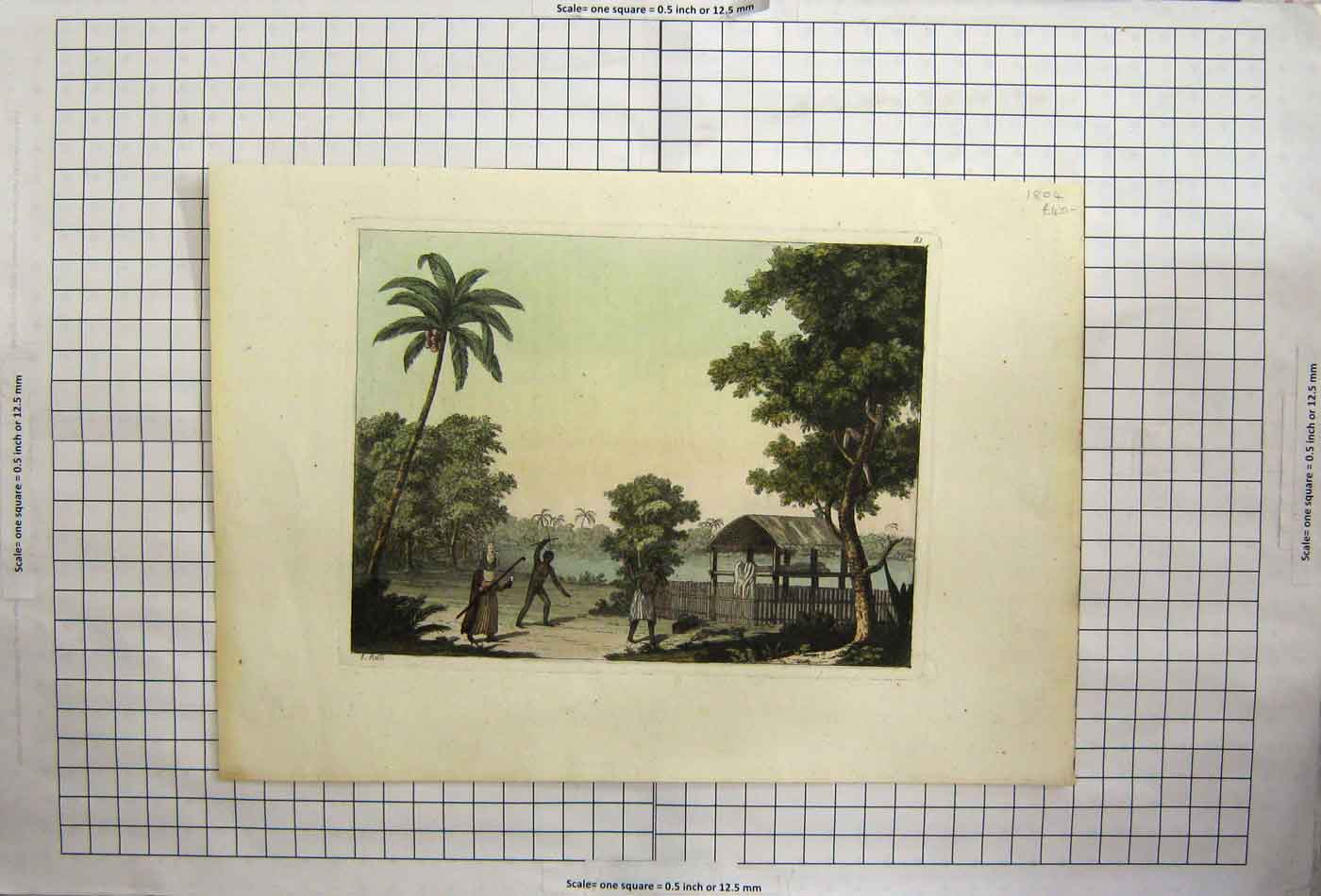Original Old Antique Print Africa Naked Tribesmen Tree Climbing
