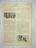 Original Old Antique Print Wendish District German Postcard Granville Actress