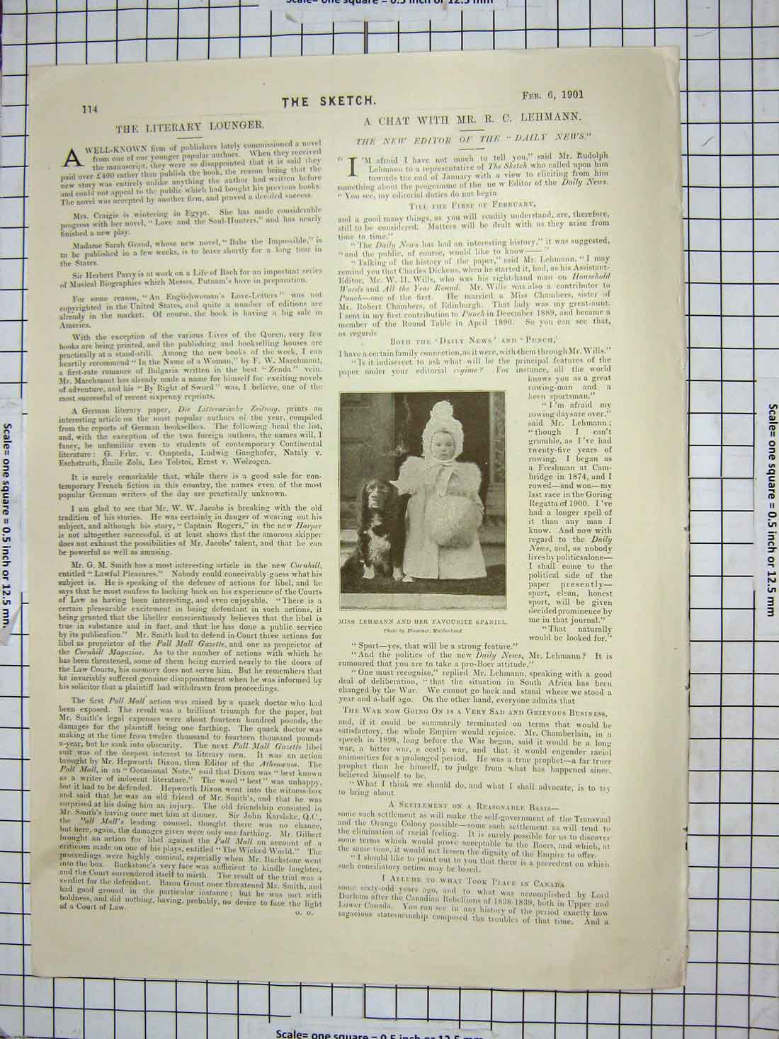 Old Antique Print Miss Lehmann Spaniel Dog Glasgow University Exhibition