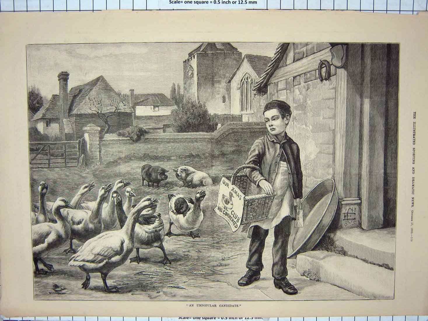 Old Antique Print 1885 Boy Christmas Club Basket Geese Farm House Animals 19th