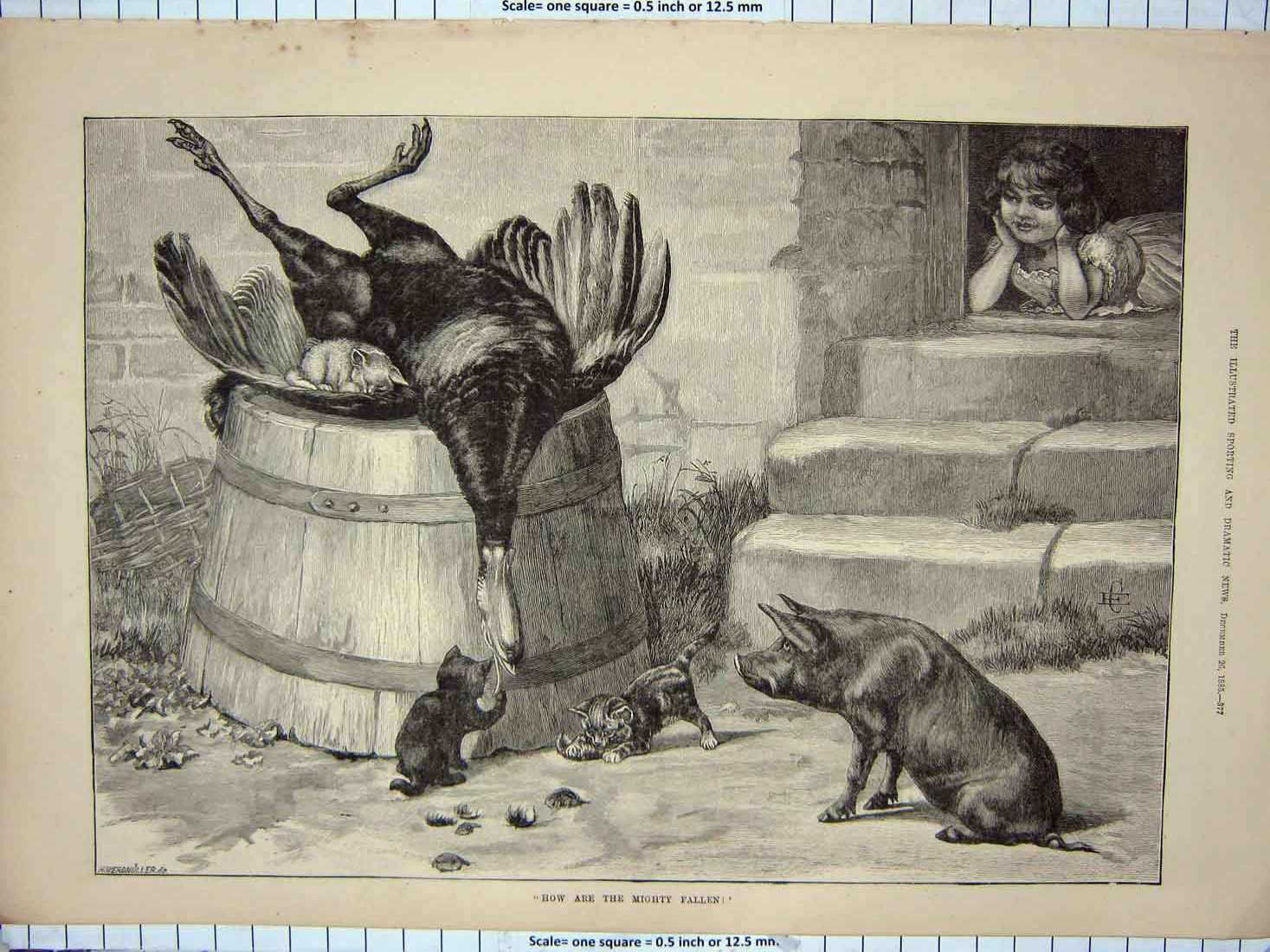 Old Antique Print 1855 Little Girl House Door-Step Dead Turkey Pig Kitten 19th